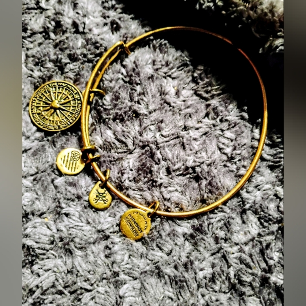 Alex and Ani Gold Charm Bangle Bracelet